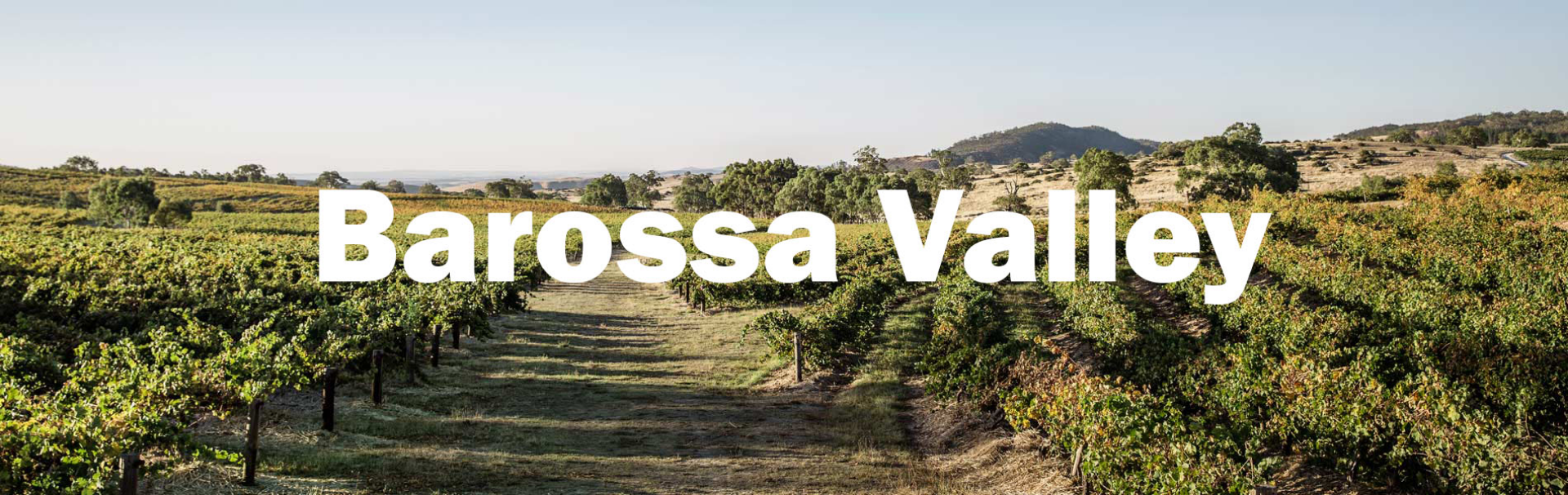 Picture for category Barossa Valley
