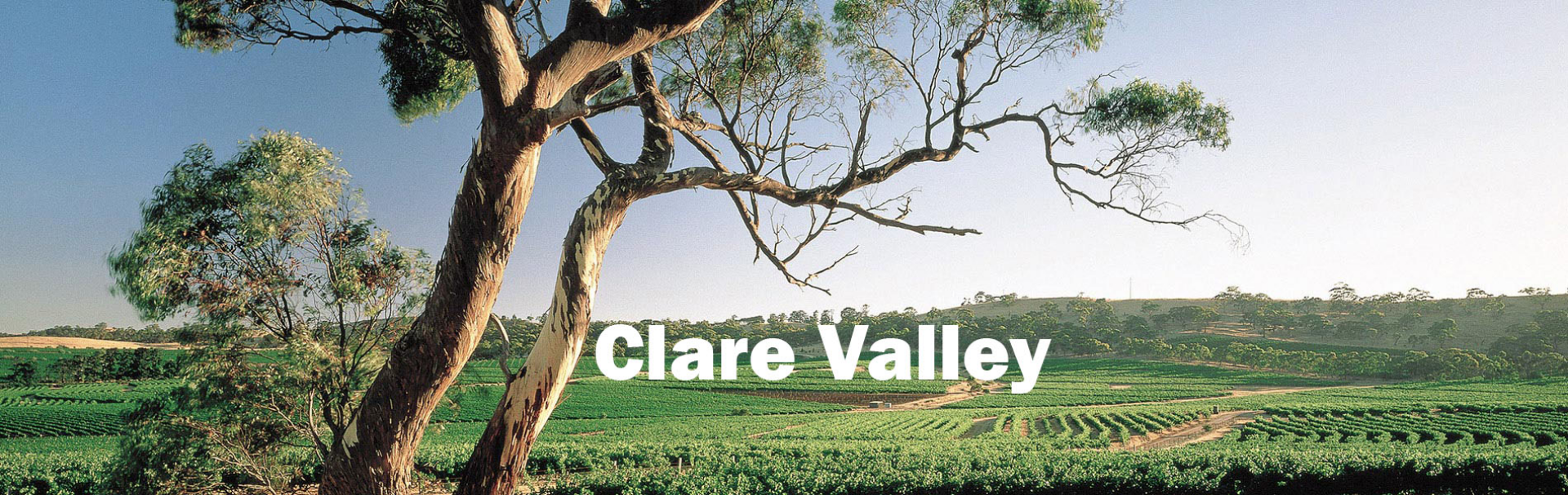 Picture for category Clare Valley