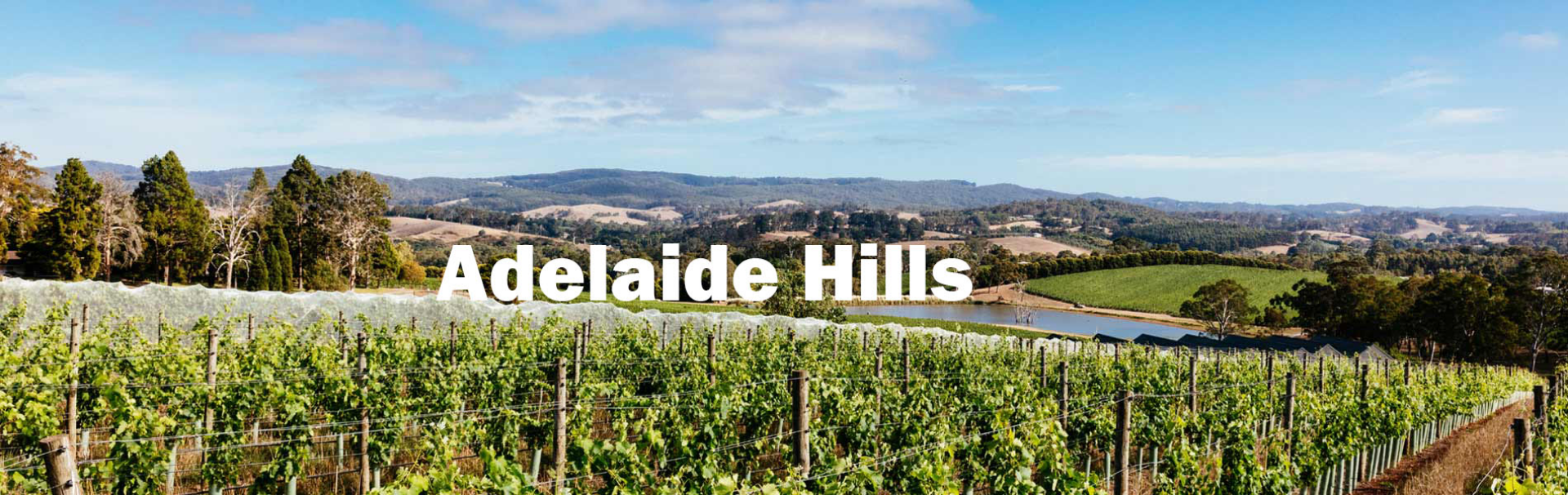 Picture for category Adelaide Hills