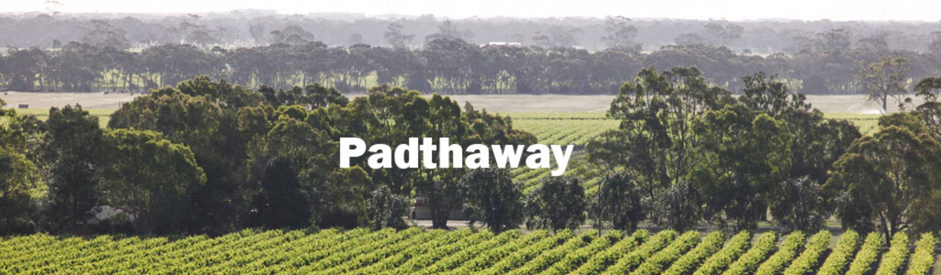 Picture for category Padthaway