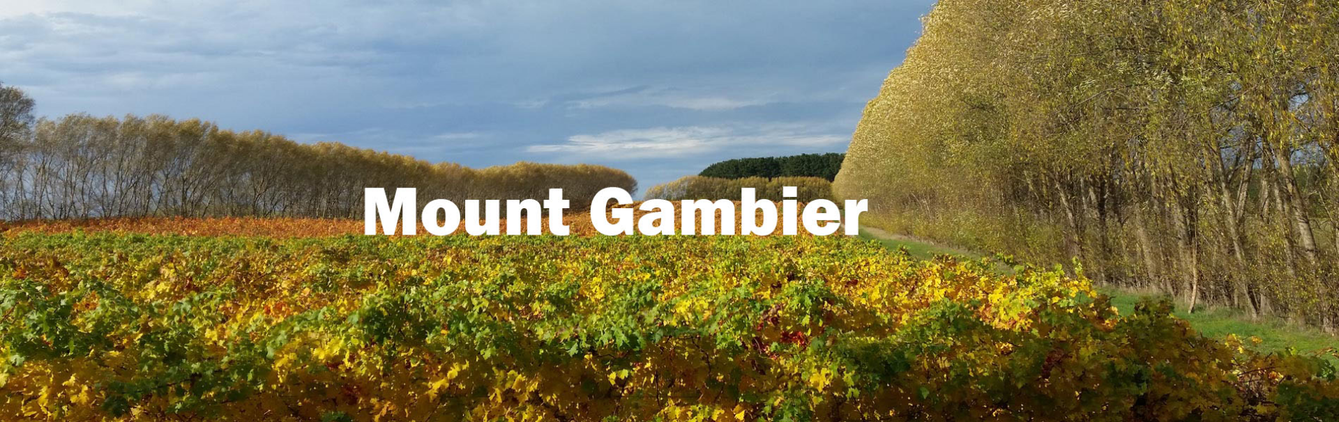 Picture for category Mount Gambier