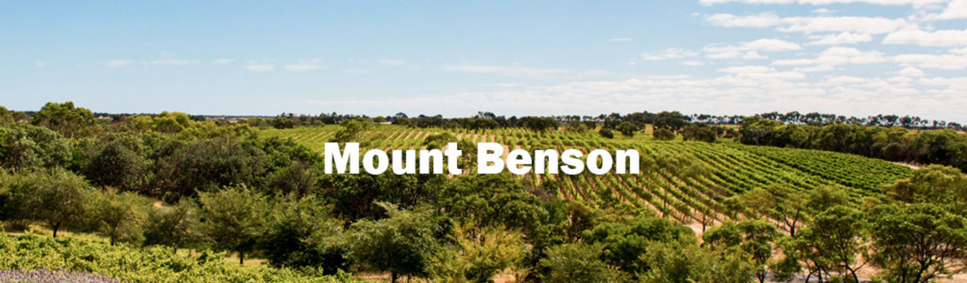 Picture for category Mount Benson