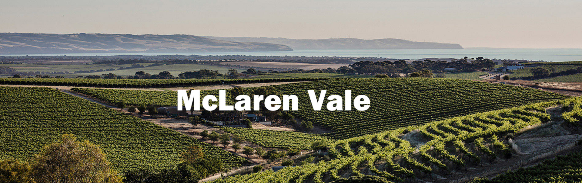 Picture for category McLaren Vale