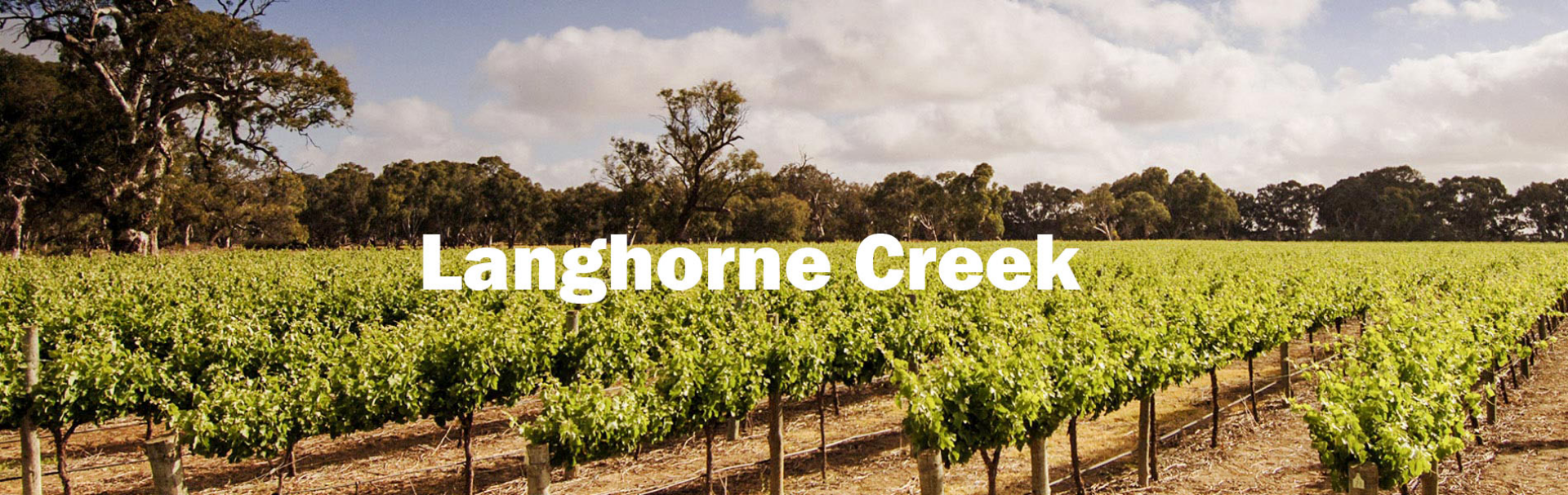 Picture for category Langhorne Creek