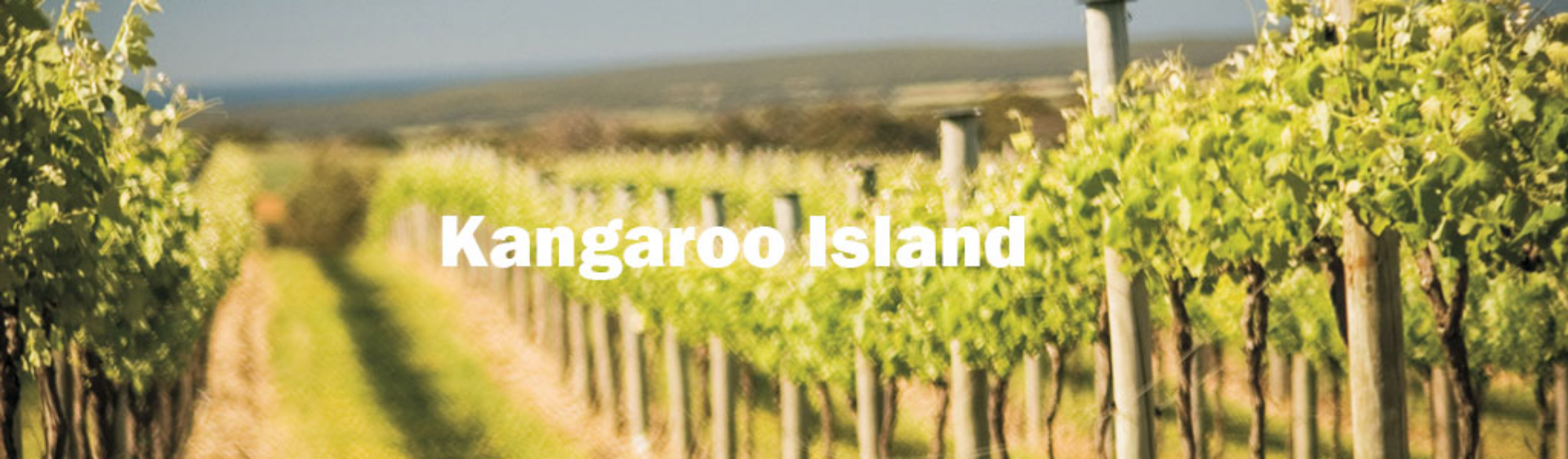 Picture for category Kangaroo Island