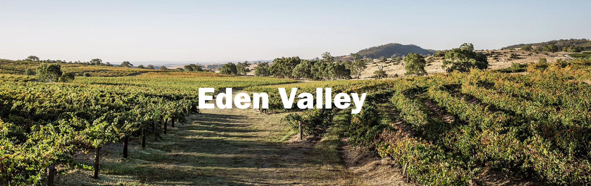 Picture for category Eden Valley