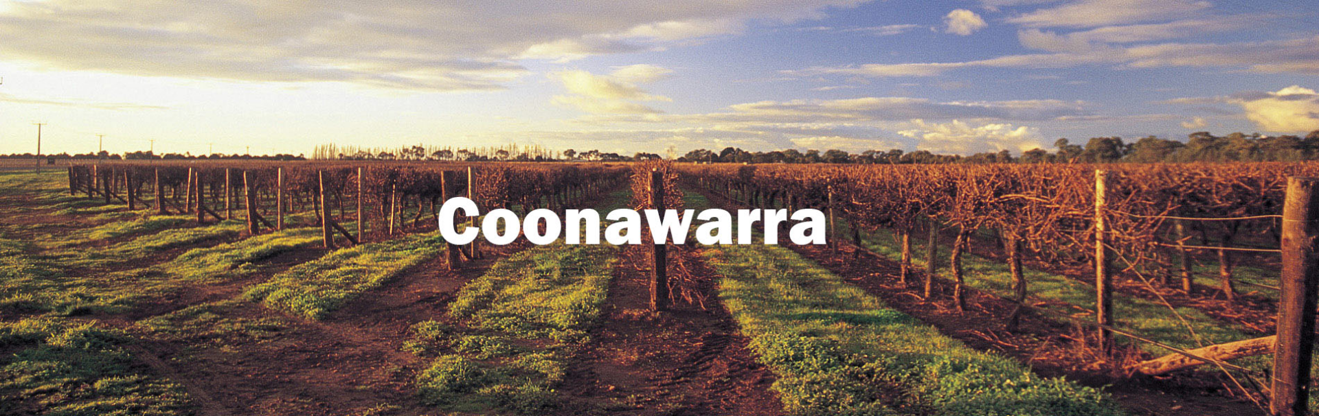 Picture for category Connawarra