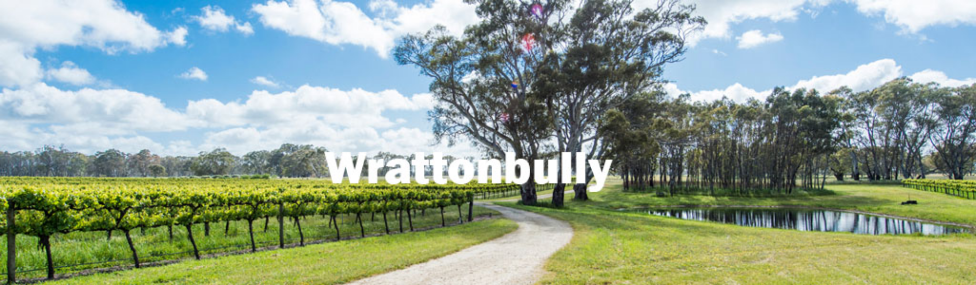 Picture for category Wrattonbully