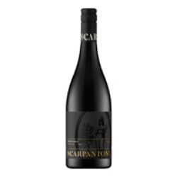 Picture of Scarpantoni 2022 Nero di Avola bottle
